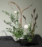 24 - Edna Crowe.jpg 4.9K